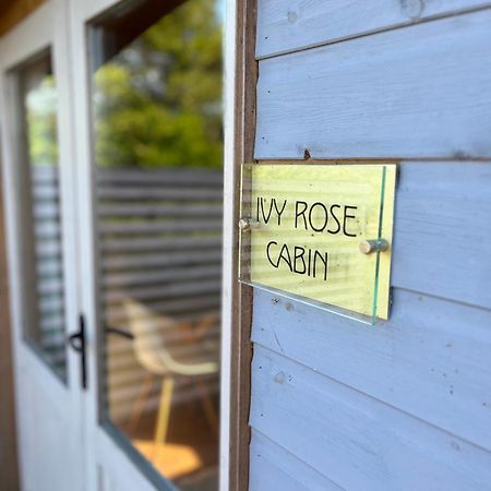 Ivy Rose Cabin No Hot Tub Bude Eksteriør bilde